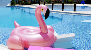 flamingo bali